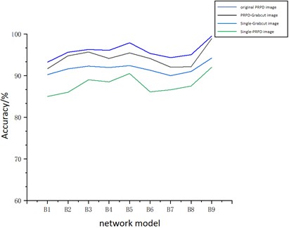 PD recognition accuracy  under different network models