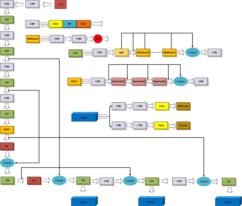 YOLOv8 network structure diagram