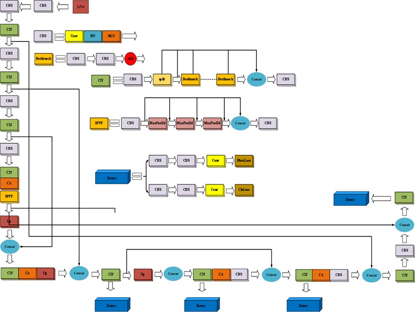 YOLOv8 improved network structure diagram