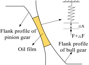 The calculation model of oil film stiffness  in the contact area