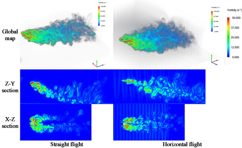 Comparison of vortex intensities between the two flight modes