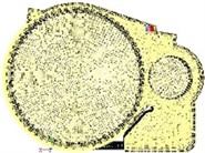 CFD computational model of the gearbox