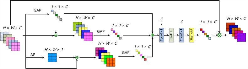 Detailed structure of ECCAM