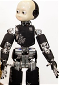 Humanoid Robot iCub (IIT)