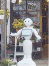 Humanoid robots Pepper