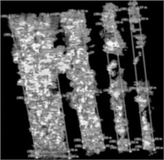 Images of experimentally collected data at different distances from the field model  (left middle right indicates the distance between the front, back, and front and rear panels, respectively)