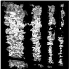 Images of experimentally collected data at different distances from the field model  (left middle right indicates the distance between the front, back, and front and rear panels, respectively)