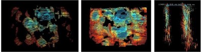 Images of experimentally collected data at different distances from the field model (left middle  right indicates the distance between the front, back, and front and rear panels, respectively)