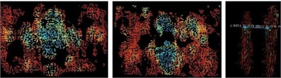 Images of experimentally collected data at different distances from the field model (left middle  right indicates the distance between the front, back, and front and rear panels, respectively)