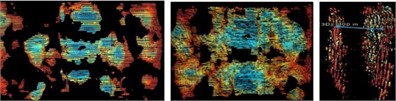 Images of experimentally collected data at different distances from the field model (left middle  right indicates the distance between the front, back, and front and rear panels, respectively)