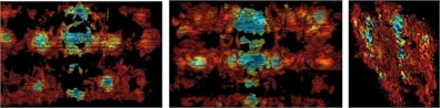 Images of experimentally collected data at different distances from the field model (left middle  right indicates the distance between the front, back, and front and rear panels, respectively)