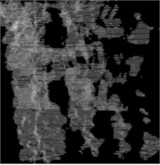 Images of experimentally collected data at different distances from the field model  (left middle right indicates the distance between the front, back, and front and rear panels, respectively)