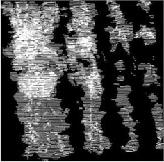 Images of experimentally collected data at different distances from the field model  (left middle right indicates the distance between the front, back, and front and rear panels, respectively)