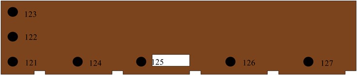 Distribution of observation points on the station hallway flooring