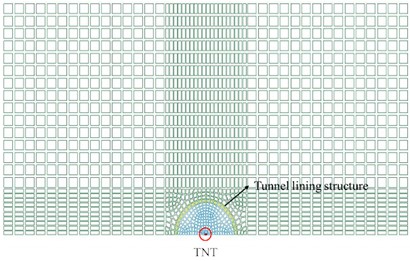 The structure of the verification model