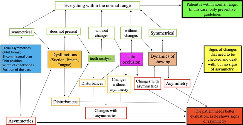 Flowchart and guide for the professional to observe signs  or alterations that may interfere with craniofacial development