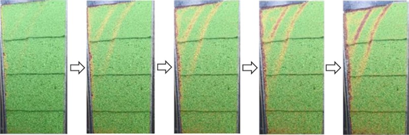 Dynamic development of active fracture surface under RB mode (λ= 87 %, n= 0.4)