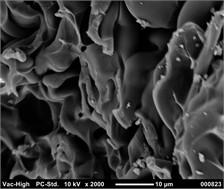 Image of the structure of the porous composite filled with HA