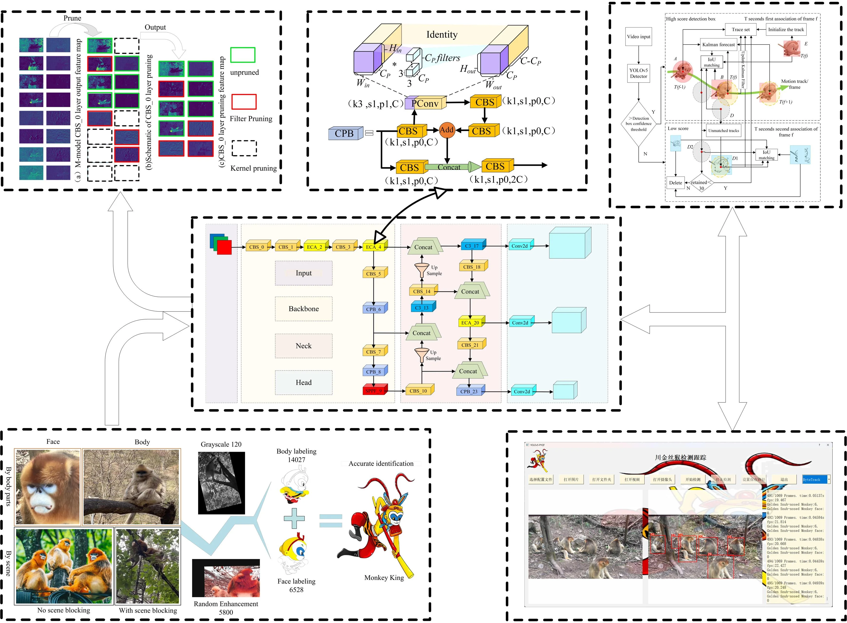 Research on lightweight detection methods for the golden snub-nosed monkey based on YOLOv5n