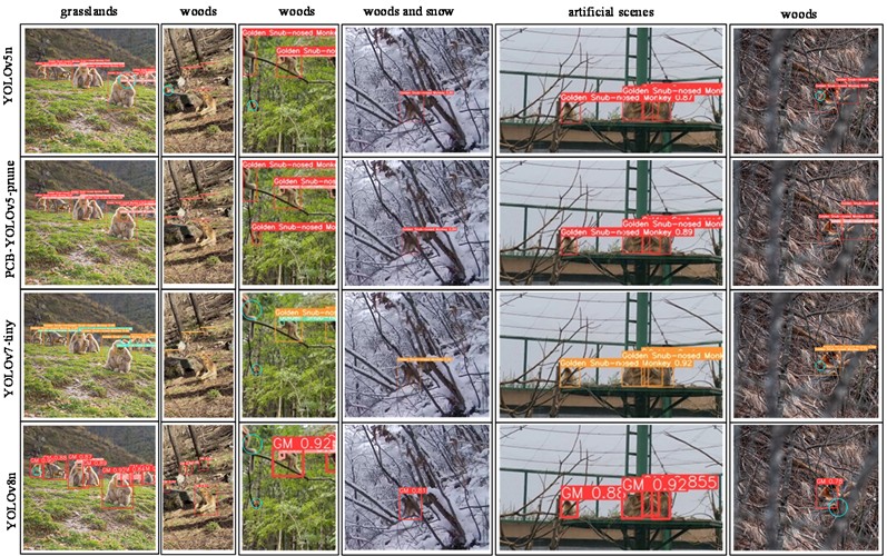 Scene occlusion detection comparison chart