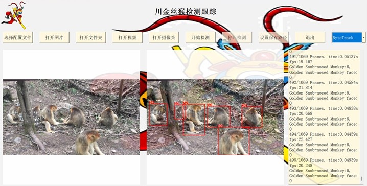 Visualization interface for detection and tracking of golden snub-nosed monkeys