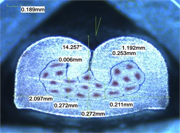 Microsection 0-0964274-2