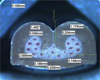 Microsection 0-0964274-3