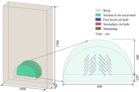 Schematic diagram of the numerical model