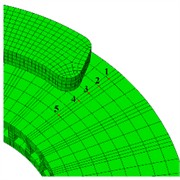 The establishment of FEA model and path setting