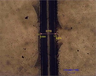 Analysis of the influence of processing speed and surface water film on the edge on the edge collapse of microchannel surface