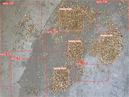 Identification and detection results of grain caking