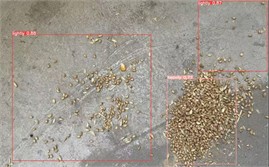 Identification of grain caking under different lighting conditions