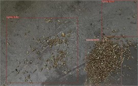 Identification of grain caking under different lighting conditions