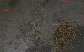 Identification of grain caking under different lighting conditions