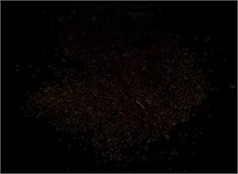 Comparison of grain caking before and after low-light enhancement