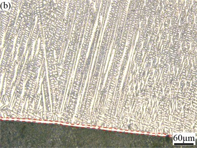 Metallographic photos of the cross section of CoCrFeMoNi: a) and CoCrFeMoNiSi; b) alloy coatings
