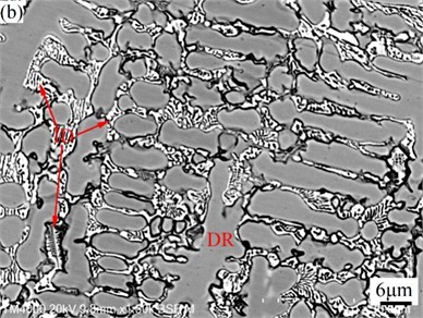 SEM images of CoCrFeMoNi (a) and CoCrFeMoNiSi (b) alloys
