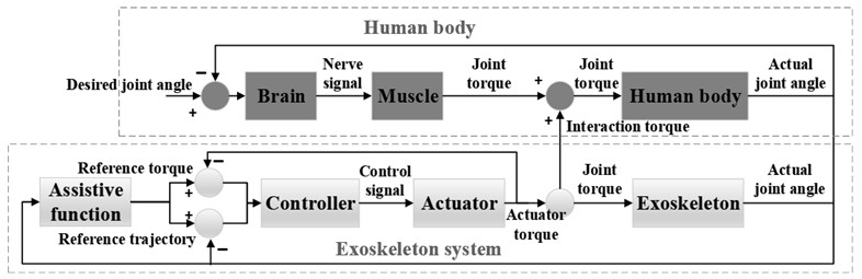 The Human-exoskeleton collaboration system