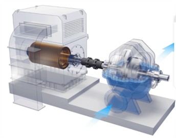 Schematic diagram of the analyzed pump