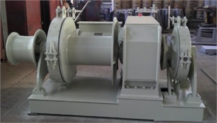 The structure and composition of anchoring machinery