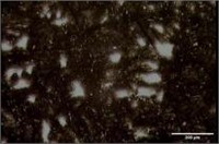 FD – Distribution and size of eutectic cell on cross- section, and RD – Eutectic cell boundaries