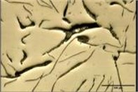 Distribution graphite layers, a), b) FD – type C, c), d) FD – type A, e), f), g), h) BD – type C, shrinkage cavity