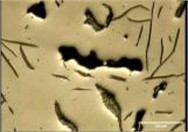 Distribution graphite layers, a), b) FD – type C, c), d) FD – type A, e), f), g), h) BD – type C, shrinkage cavity