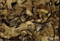 Perlite transparency, a), b) FD, c), d) BD