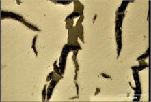 Crack growth, and surface oxidation on surface of FD