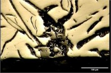 Crack growth, and surface oxidation on surface of FD