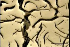 Crack growth, and surface oxidation on surface of FD