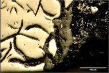 Crack growth, and surface oxidation on surface of FD