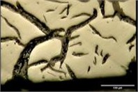 Crack growth, and surface oxidation on surface of BD