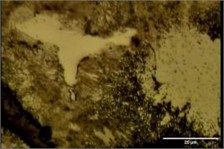 Tempering perlite, whiten ferrite phase, and Carbide particles results on FD